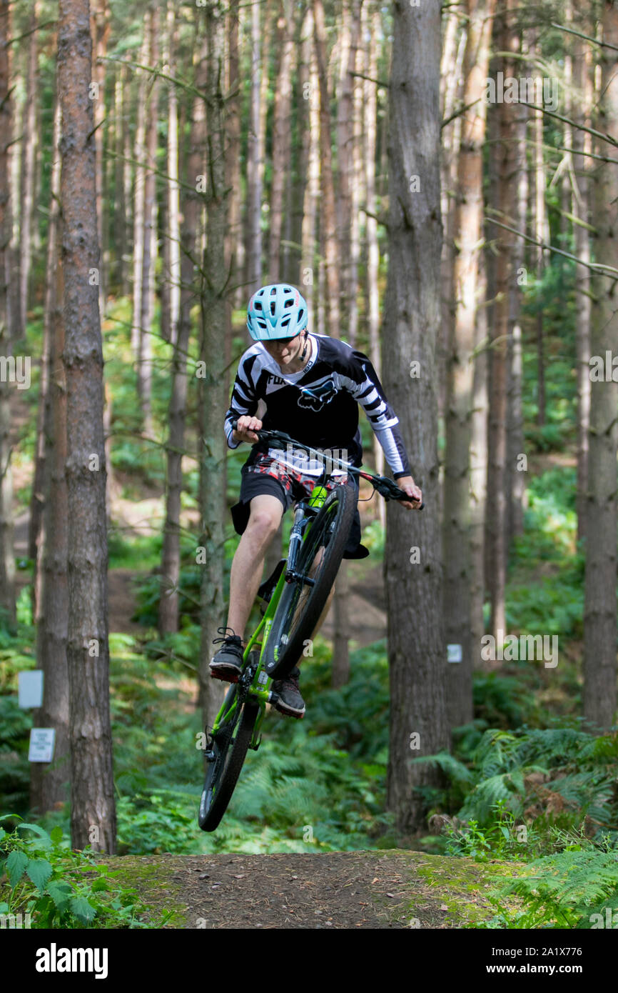 Teenage boy leaping autour sur un vélo de montagne sur Kinver Edge piste en forêt entouré de grands pins. Banque D'Images