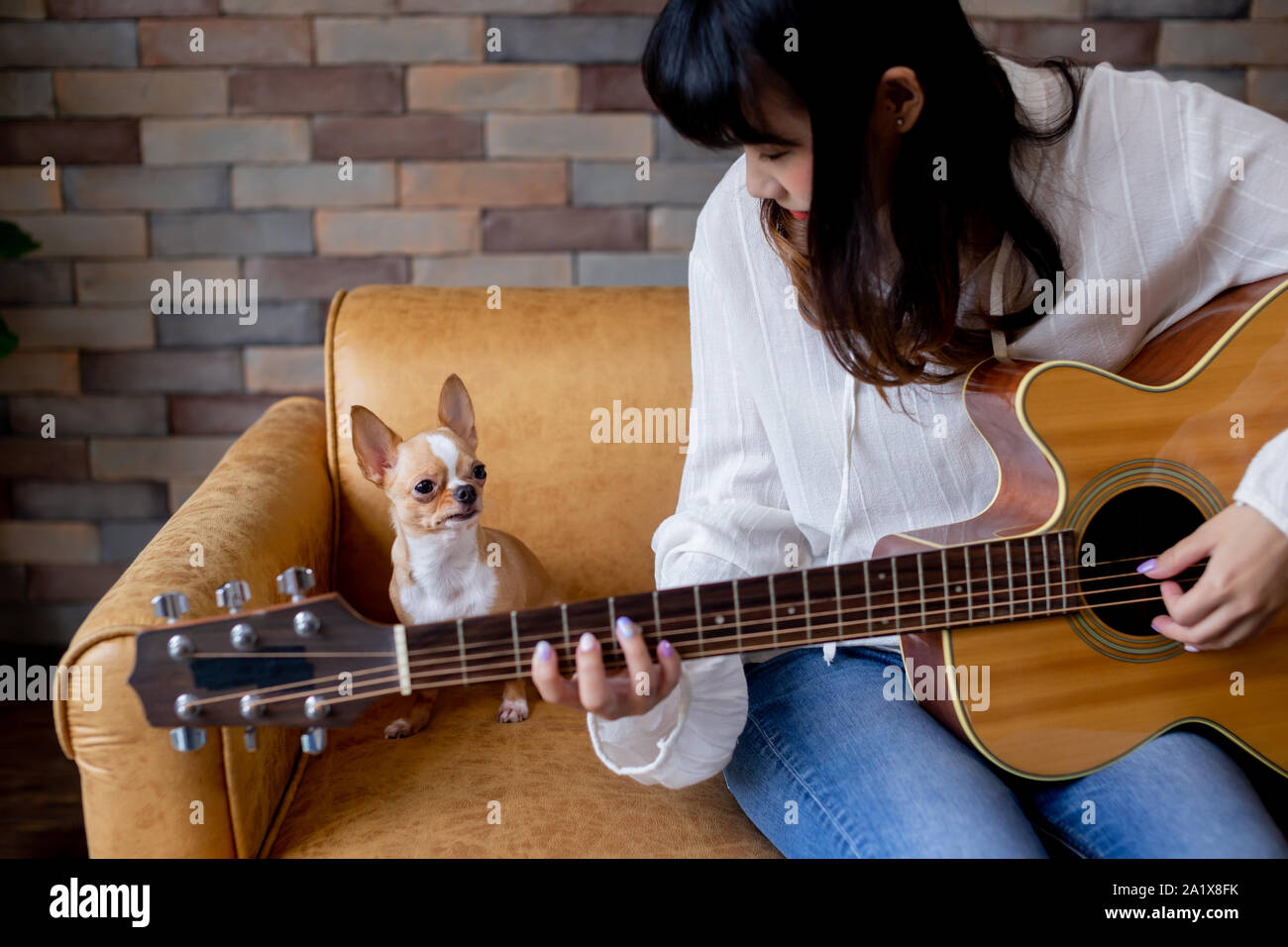 Young smiling woman playing guitar while sitting on sofa with chihuahua chien à la maison Banque D'Images