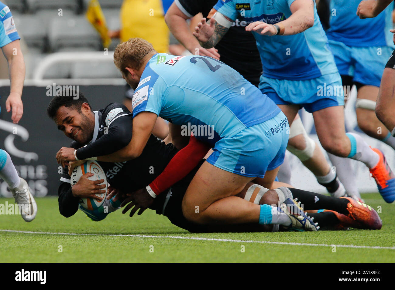 Newcastle, Royaume-Uni. 15 Sep, 2019. NEWCASTLE Upon Tyne, Angleterre 29 septembre George Wacokecoke Newcastle Falcons de scores au cours du RFU Championship Cup match entre Newcastle Falcons et Doncaster Knights à Kingston Park, Newcastle Le dimanche 29 septembre 2019. (Crédit : Chris Lishman | MI News) Credit : MI News & Sport /Alamy Live News Banque D'Images