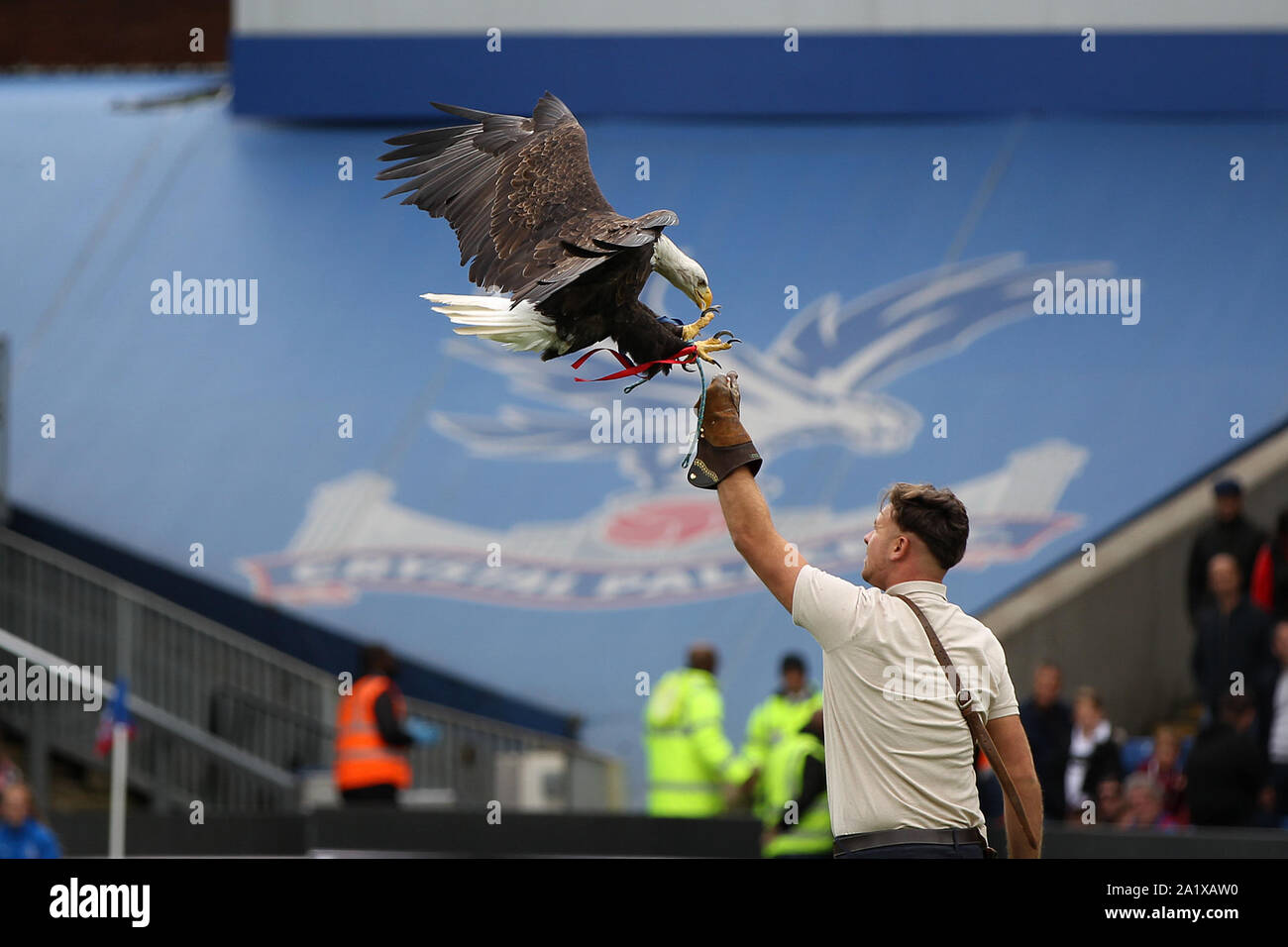 Londres, Royaume-Uni. 28 Sep, 2019. Un aigle en vol avant le premier match de championnat entre Crystal Palace et Norwich City at Selhurst Park le 28 septembre 2019 à Londres, en Angleterre. (Photo par Mick Kearns/phcimages.com) : PHC Crédit Images/Alamy Live News Banque D'Images