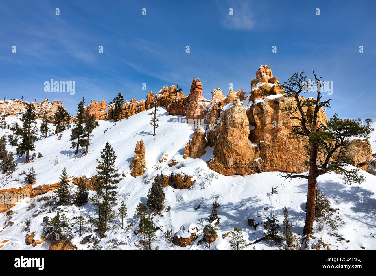 Hoodoos couvertes de neige dans le parc national de Bryce Canyon Banque D'Images