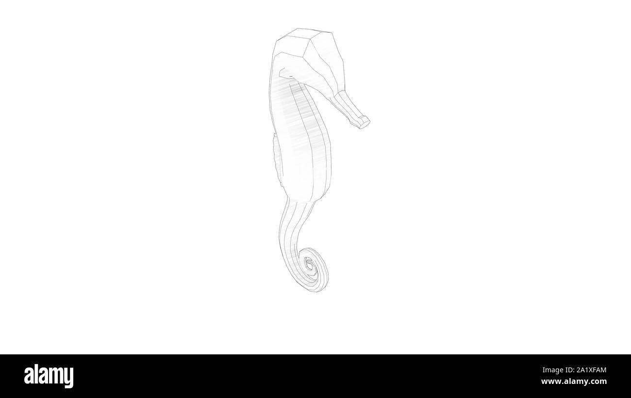 Le rendu 3d illustration d'un cheval de mer blanc fond isolé en studio Banque D'Images