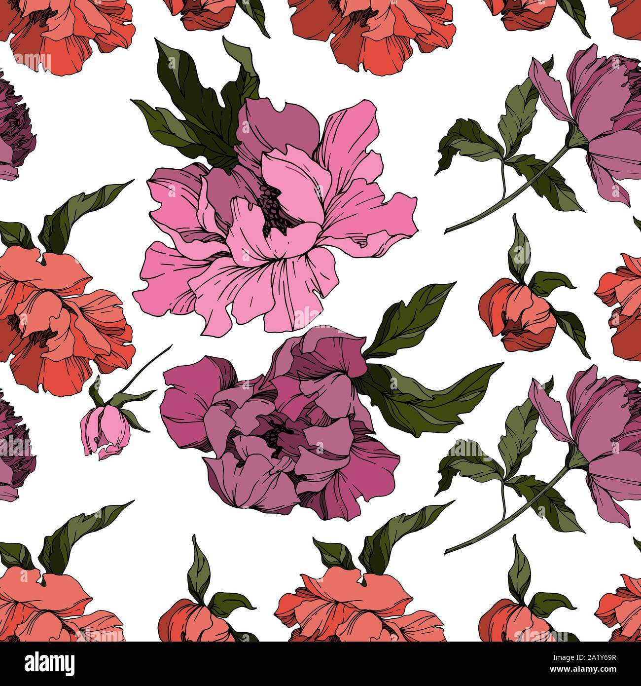 Vector floral fleurs de pivoine botanique. Lame de ressort sauvages isolés de fleurs sauvages. Noir et blanc Encre gravée motif de fond transparente art.. Wal tissu Illustration de Vecteur