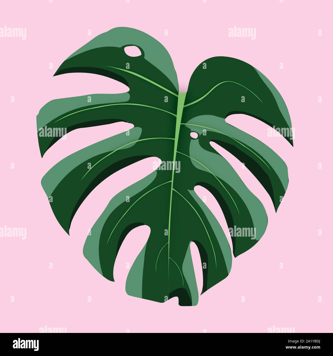 Monstera deliciosa feuilles tropicales sur fond rose Vector Art Illustration de Vecteur