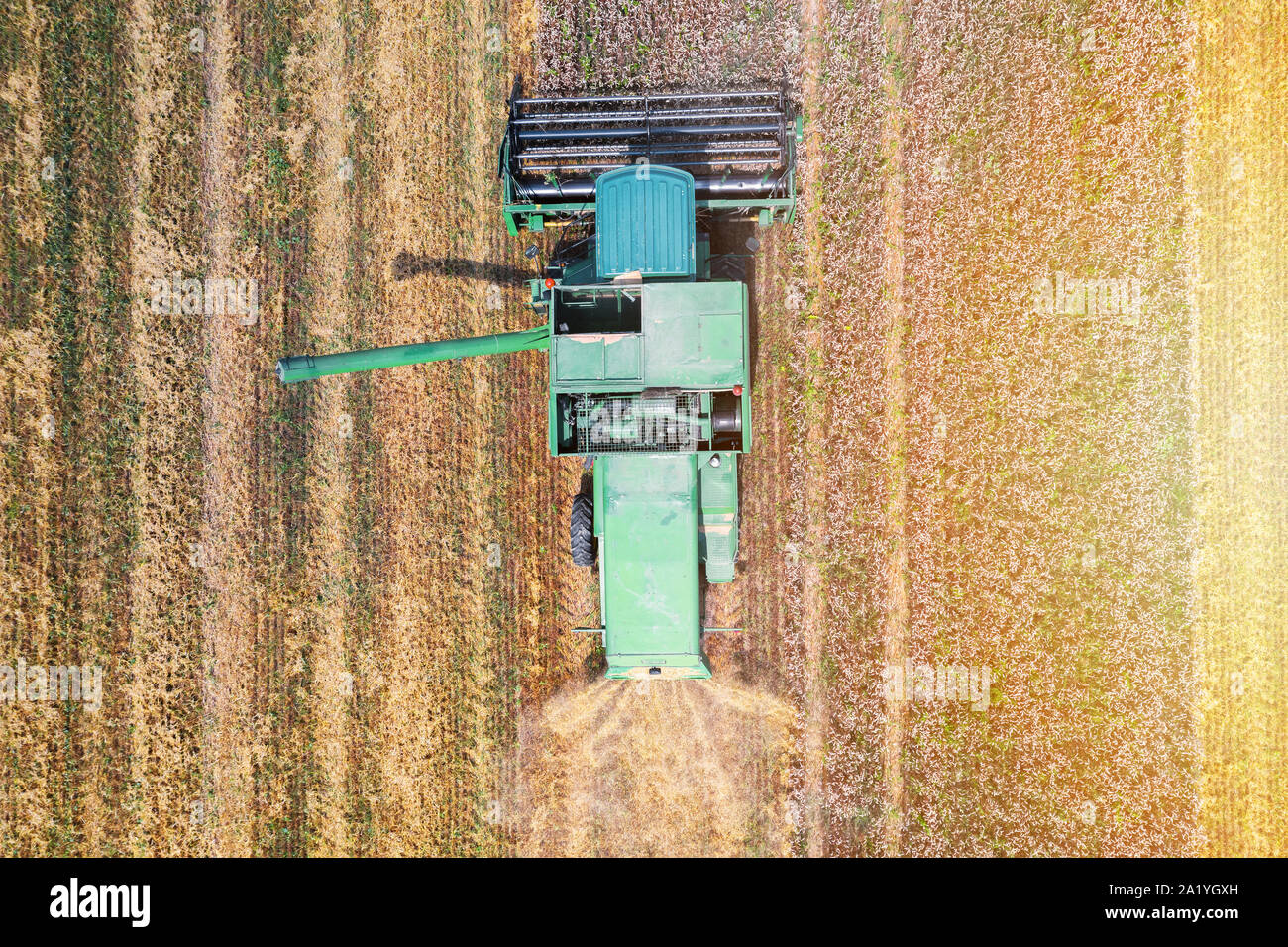 La récolteuse sur le champ de blé de la vue supérieure Banque D'Images