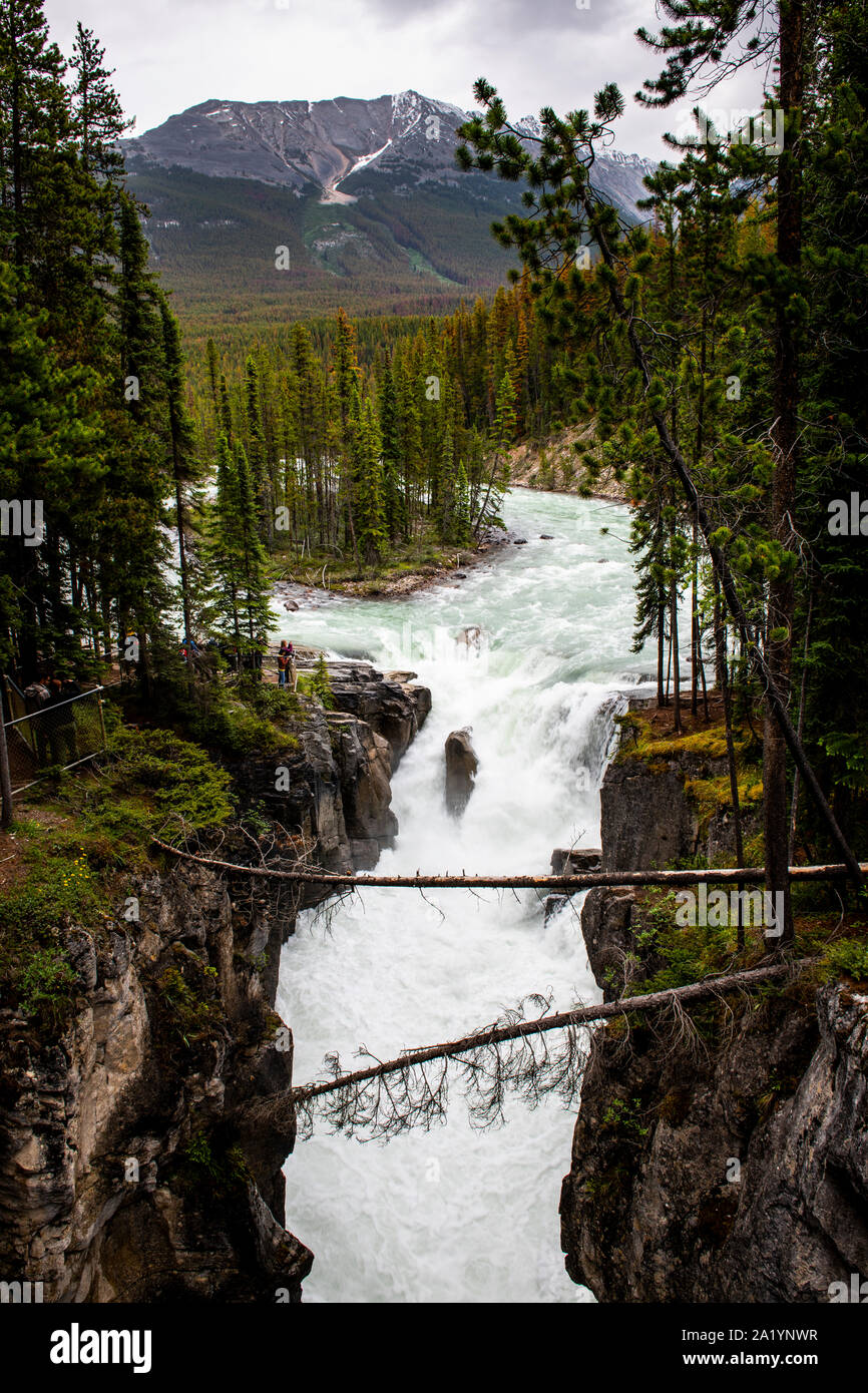 Les chutes Sunwapta, Jasper National Park, Alberta, Canada Banque D'Images