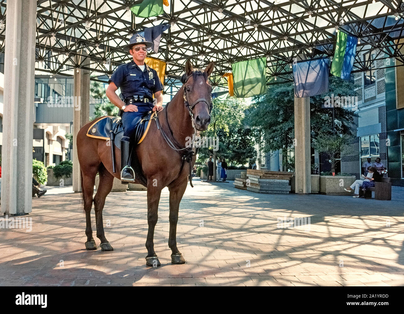 Un policier assis sur la selle en haut a une vue élevée de son environnement tout en patrouillant sur son cheval dans le Metrocenter Mall, un lieu de rencontre populaire dans le centre-ville de Little Rock, la plus grande ville de l'Arkansas, USA. Le Service de police de Little Rock a établi sa patrouille en 1985. Equine flics reçoivent plus de 160 heures de formation, y compris des activités spéciales pour les tactiques à cheval. Les policiers qui patrouillent sur les chevaux sont considérés comme bons pour les relations communautaires en présentant un sympathique plutôt qu'une évolution défavorable de la visibilité. Banque D'Images