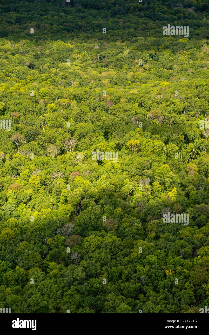 Photographie aérienne de la forêt d'État Kettle Moraine, Sheboygan County, Wisconsin, USA. Banque D'Images