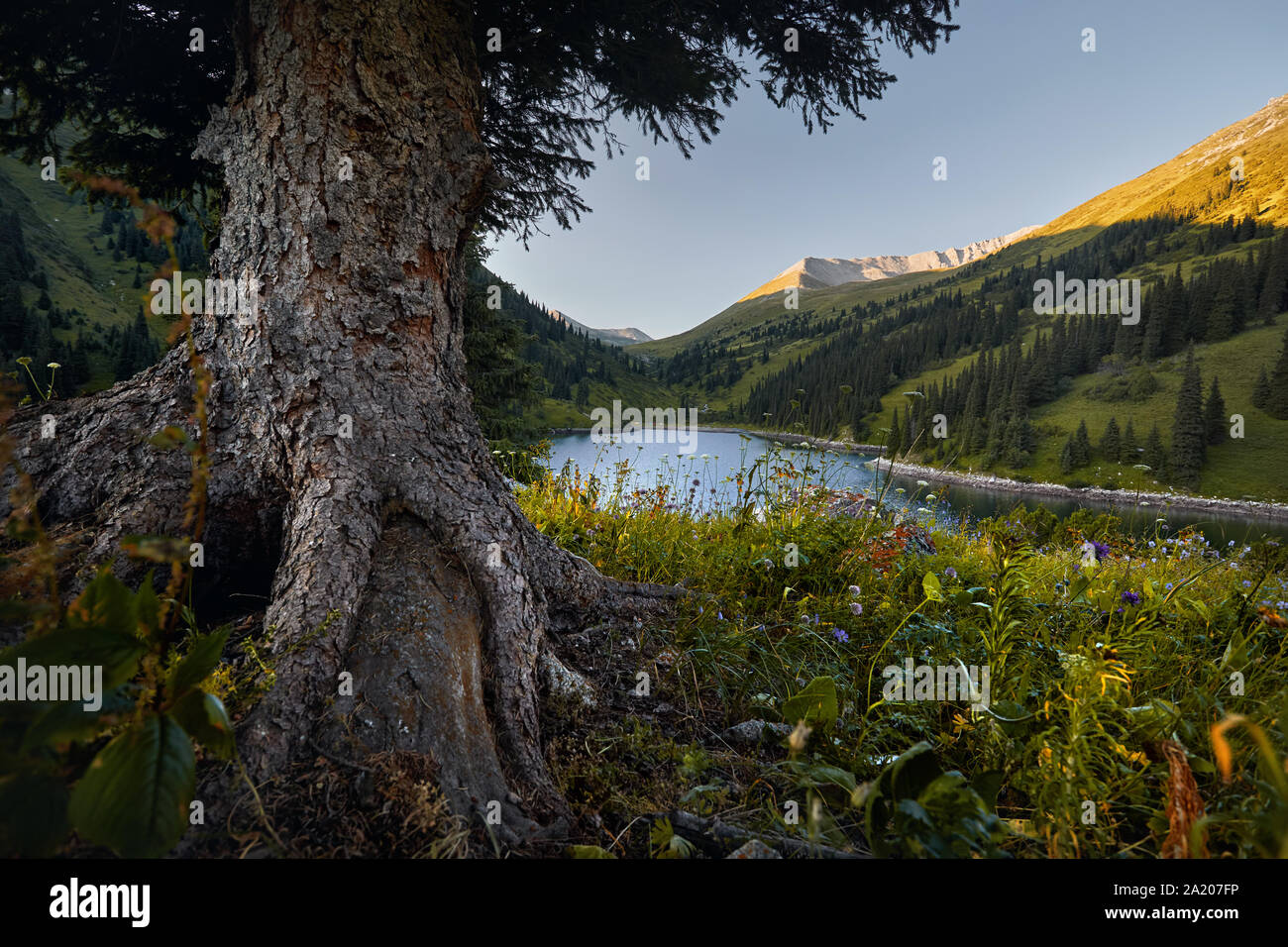 Belle vue sur le lac Kolsai de haute montagne au Kazakhstan, en Asie centrale Banque D'Images