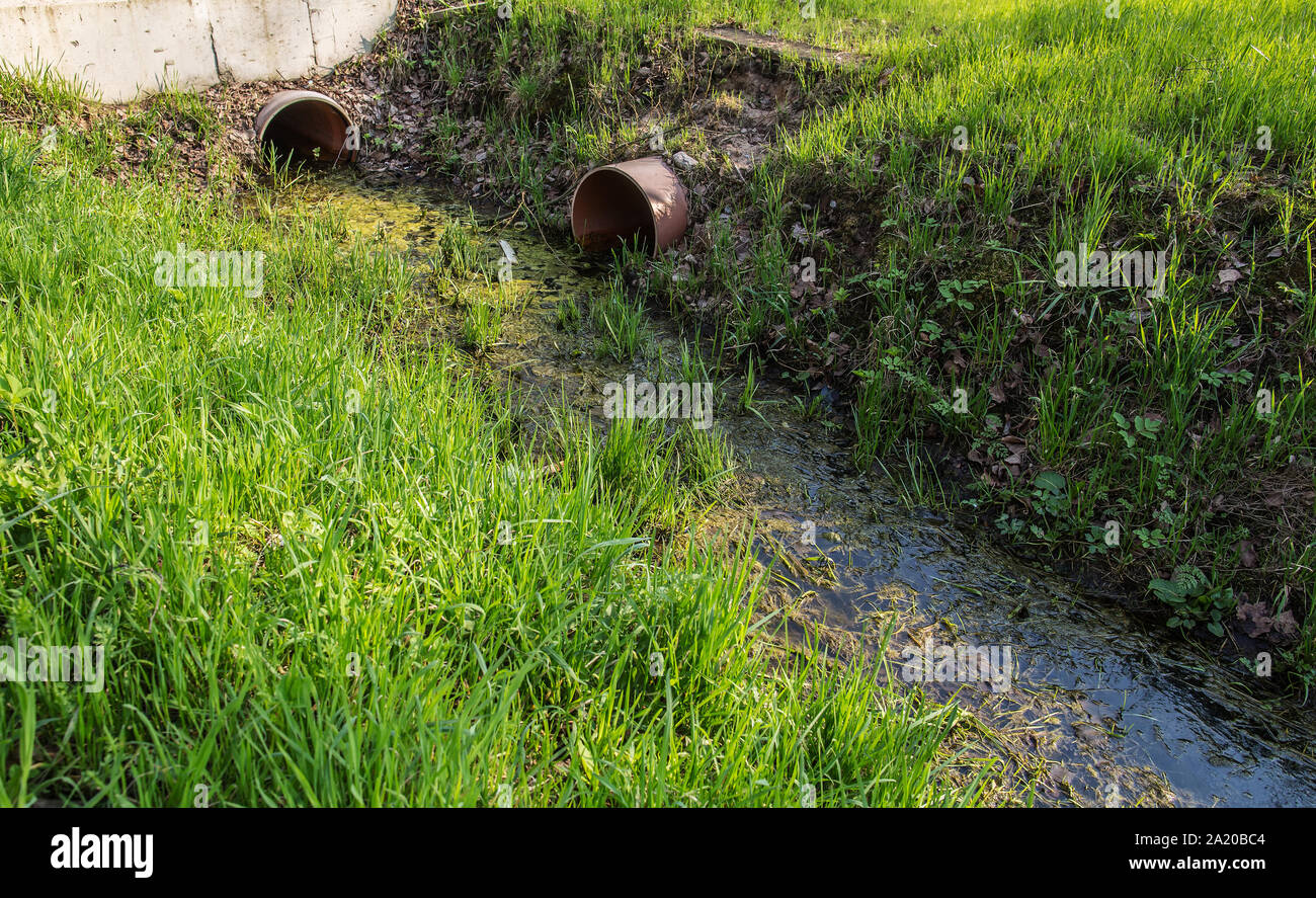 Les eaux usées avec un sale dans le col d'algues des tuyaux de drainage pour les gouttières d'herbe verte Banque D'Images