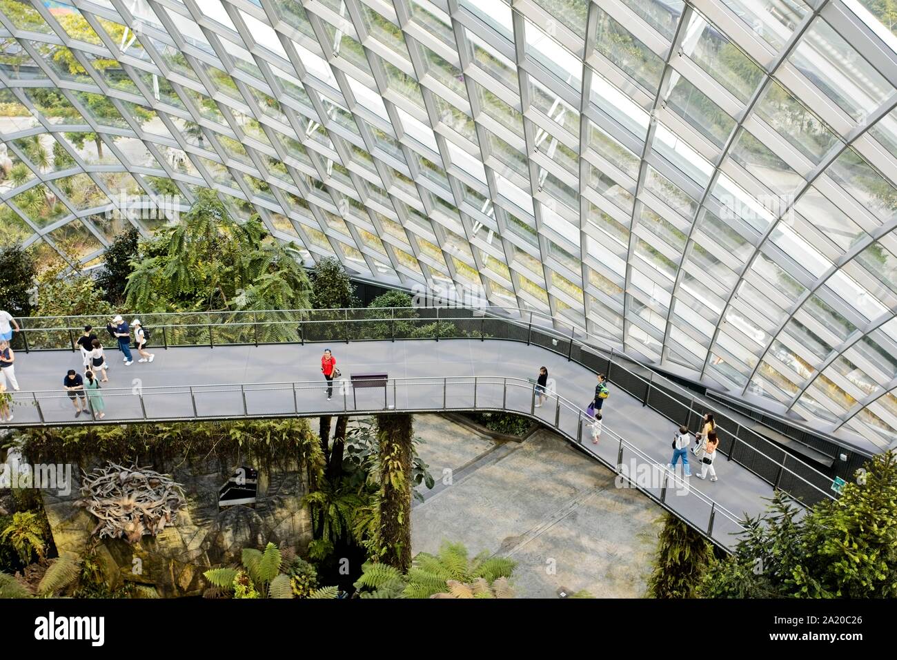 Des balades à faire dans la forêt de nuage dans les jardins de la baie, à Singapour Banque D'Images