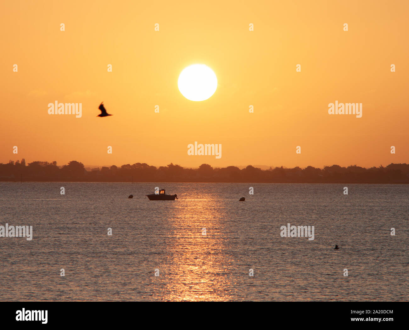 Lever de soleil à Penvins Morbihan France, avec une mouette un bateau l'océan le soleil et les réflexions du soleil sur l'océan Banque D'Images