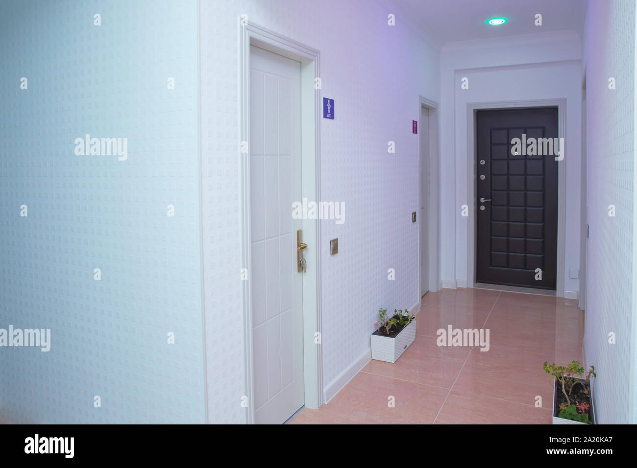 La lumière rose de l'espace .porte Eclairage intérieur design . Murs blancs et porte dans couloir avec plancher en bois . Photo de carré long home couloir avec Banque D'Images