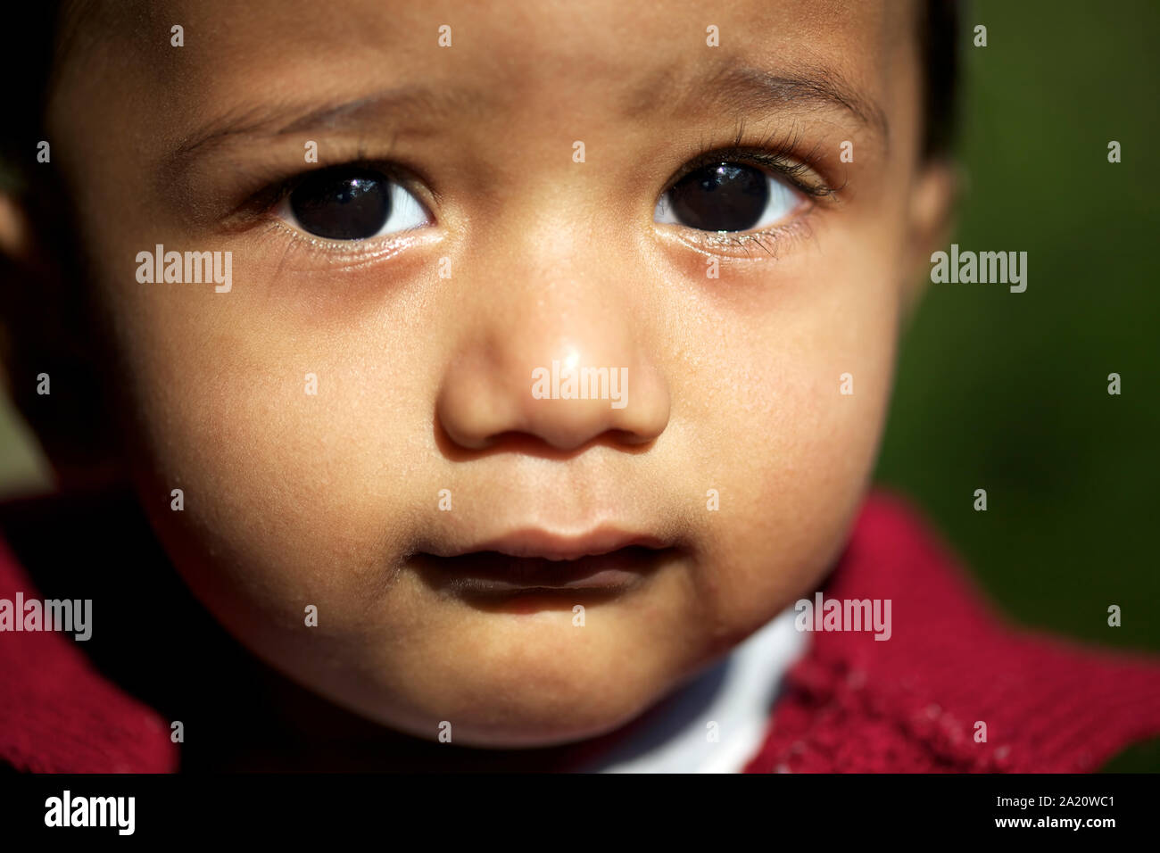 Indian Boy Beautiful Green Eyes Banque D Image Et Photos Alamy