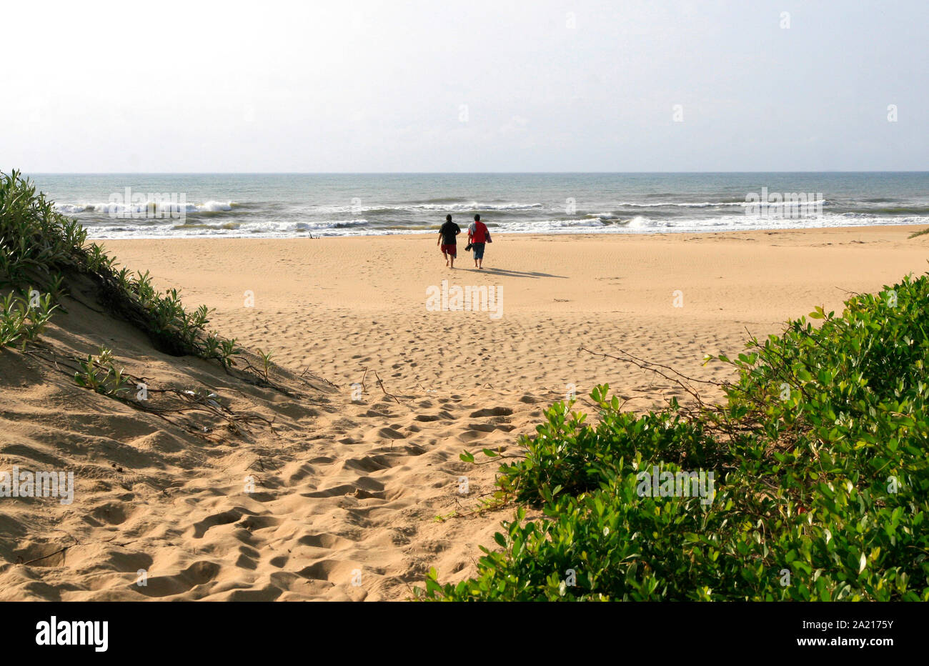 Deux hommes walking on beach, St Lucia, municipalité de district de Umkhanyakude, KwaZulu Natal, Afrique du Sud. Banque D'Images