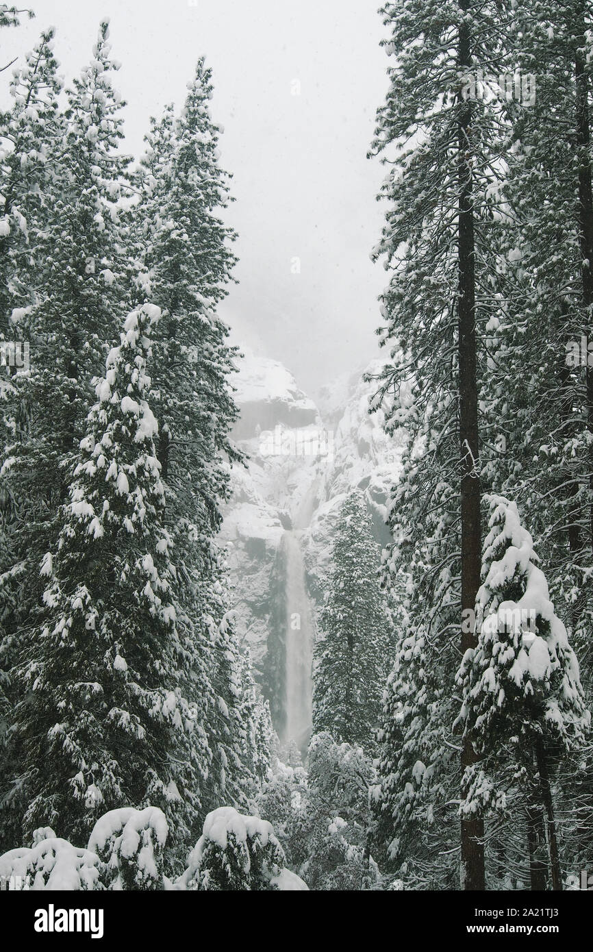 Bridalveil Fall in Yosemite National Park en hiver. Banque D'Images