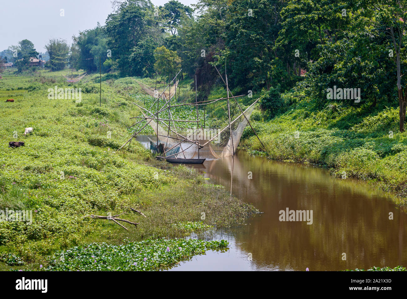 Filets de pêche chinois dans une rivière dans les terres agricoles au parc national de Kaziranga, Golaghat District, Bochagaon, Assam, Inde Banque D'Images