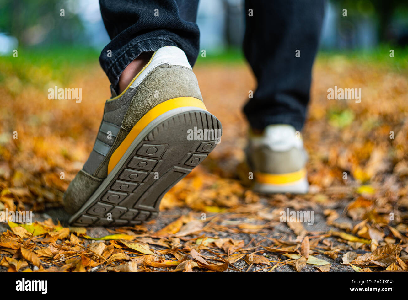 Marcher sur la chaussée en automne. Vue arrière sur les pieds d'un homme marchant le long du trottoir avec tombé foilage. Temps d'automne vide vide Abstract background Banque D'Images