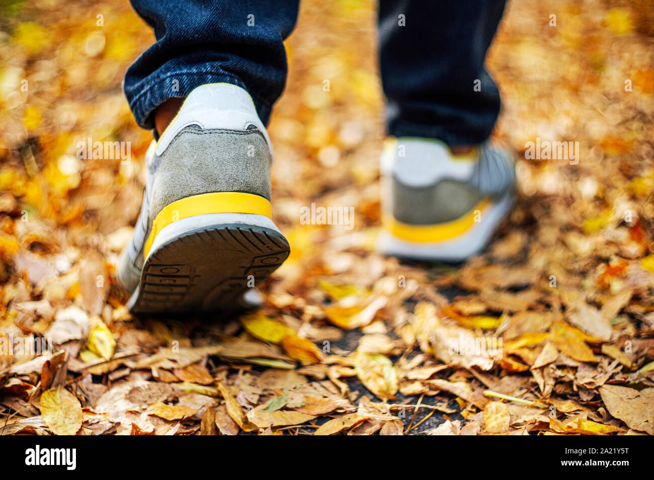 Marcher sur la chaussée en automne. Vue arrière sur les pieds d'un homme marchant le long du trottoir avec tombé foilage. Temps d'automne vide vide Abstract background Banque D'Images