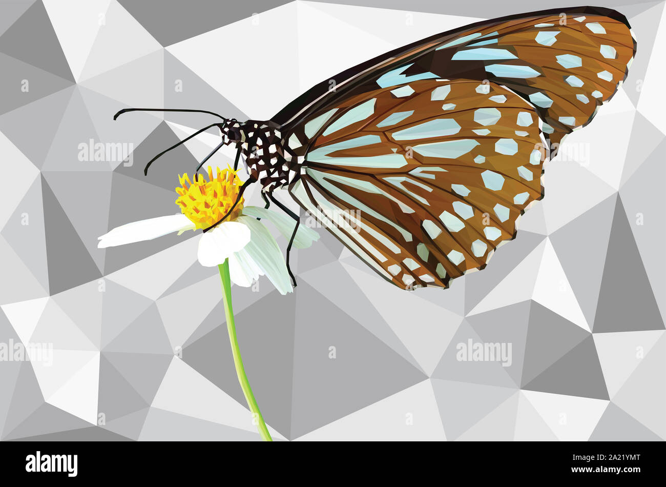 Low poly illustration d'un papillon sur une fleur marguerite Banque D'Images