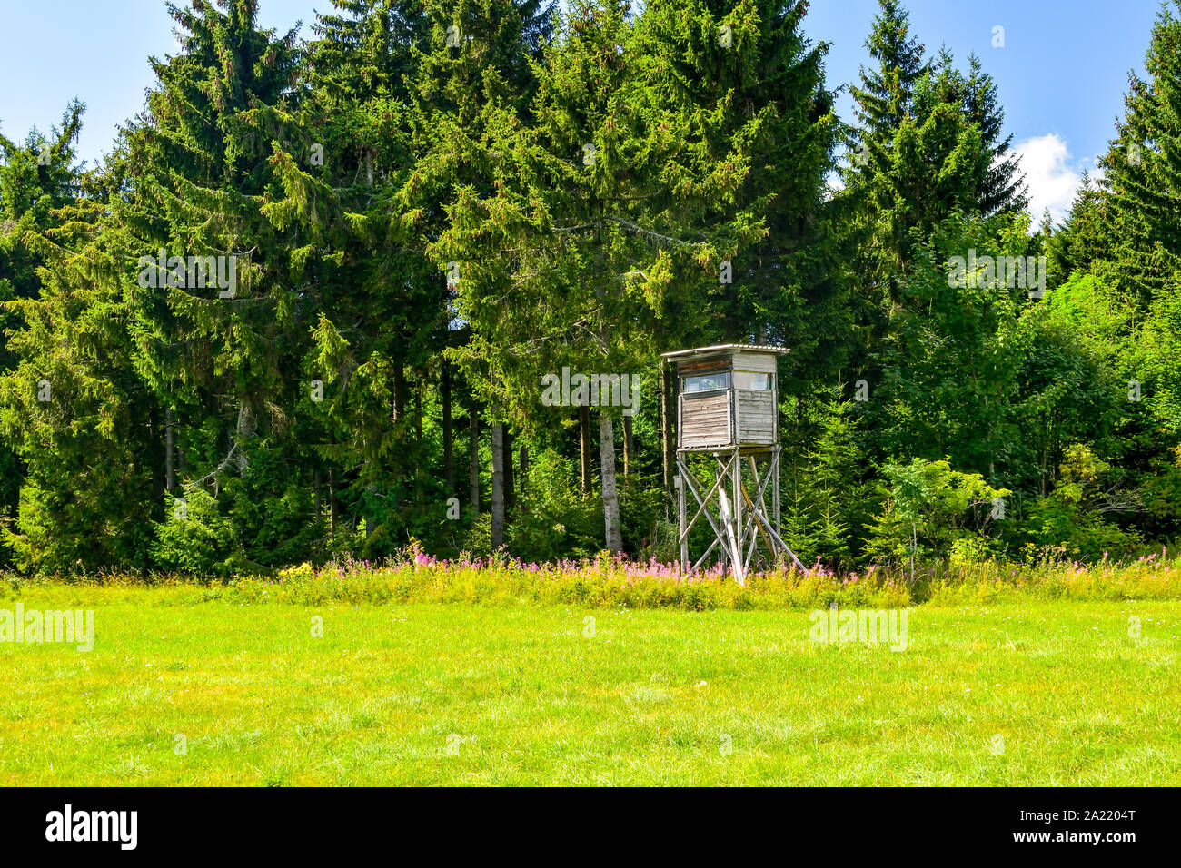 Un tour des chasseurs dans la forêt. Banque D'Images