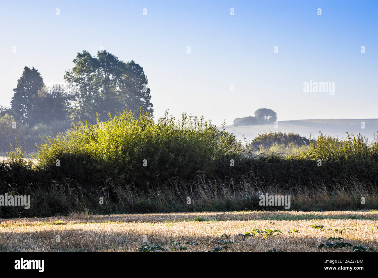 La vue en direction de Liddington Hill, près de Swindon, Wiltshire sur un matin d'automne. Banque D'Images