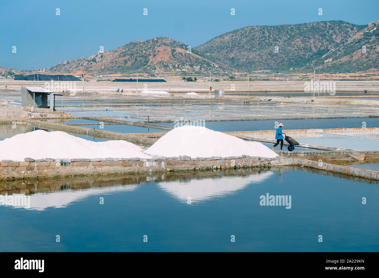 Rassemblement des travailleurs provenant de la récolte de sel de mer Sel de mer à Ninh Thuan, Vietnam. Les agriculteurs récoltent le sel. Image libre de stock de haute qualité de paysage. Banque D'Images