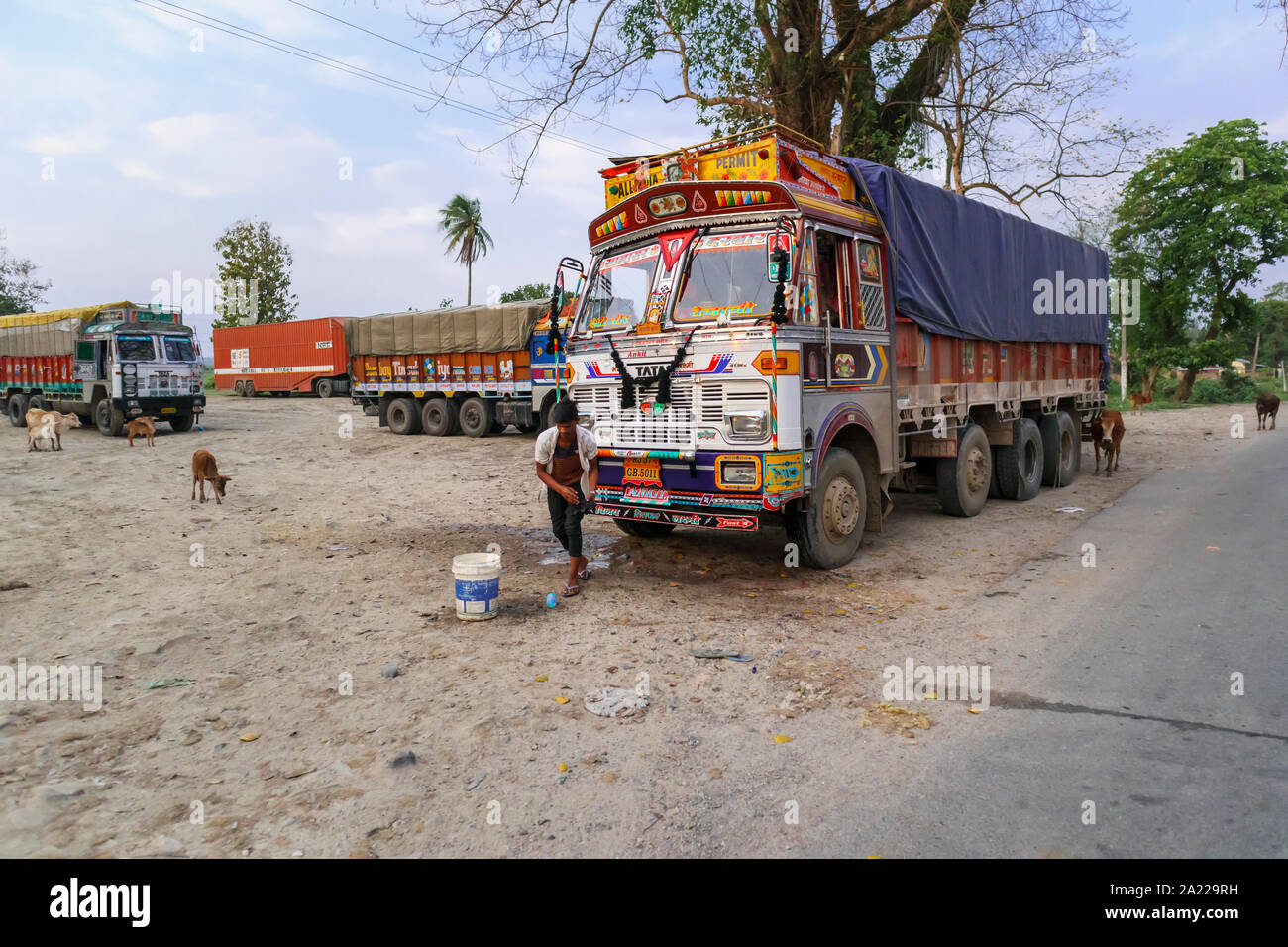 Chauffeur de camion local nettoyant sa tata camion sur la route, près du District de Kaziranga, Golaghat, Bochagaon, Assam, Inde Banque D'Images