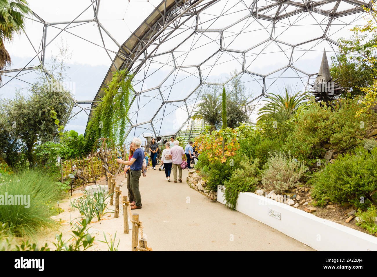 L'Eden Project biome méditerranéen une attraction touristique populaire construit dans une ancienne carrière avec des jardins tropicaux situé dans les dômes géants Banque D'Images