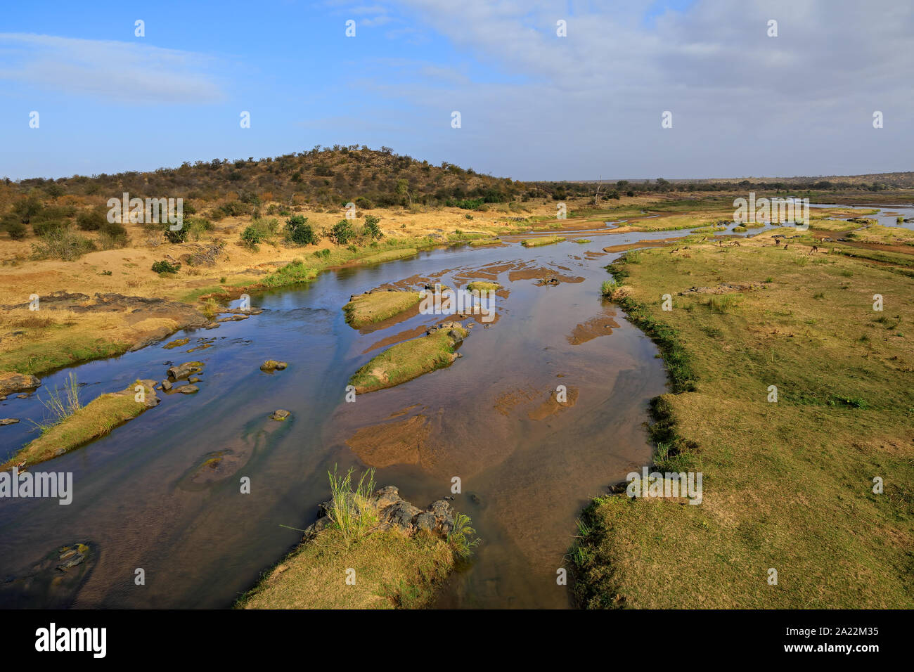 Vue paysage de l'Olifants River, Kruger National Park, Afrique du Sud Banque D'Images
