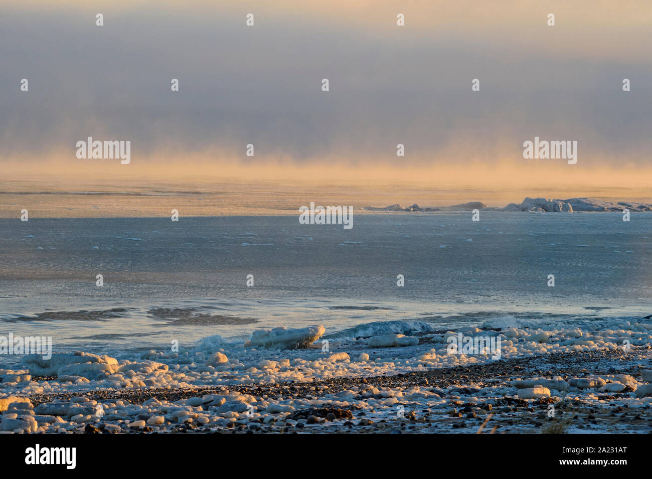 Le littoral de la Baie d'Hudson au moment du gel, Churchill, Manitoba, Canada Banque D'Images