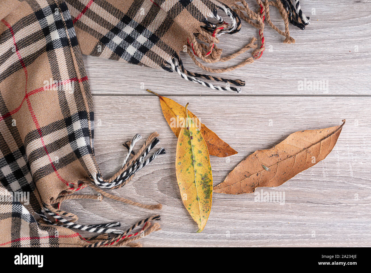 Un foulard et quelques feuilles séchées sur un tableau blanc en automne Banque D'Images