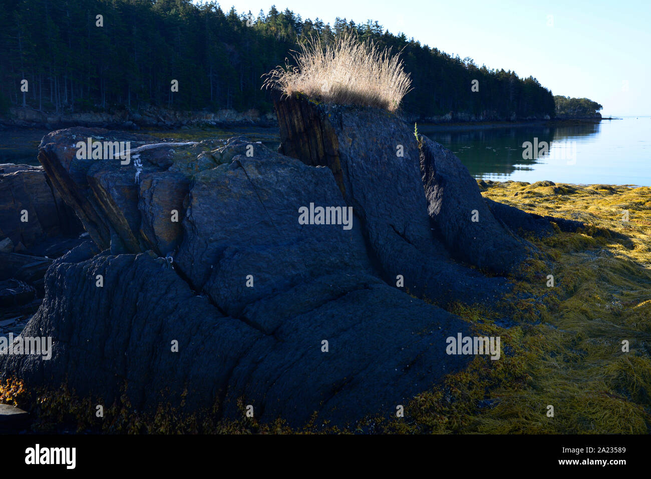 L'Île Barnes, Harpswell, Maine du cou. Les rochers et l'océan. Banque D'Images