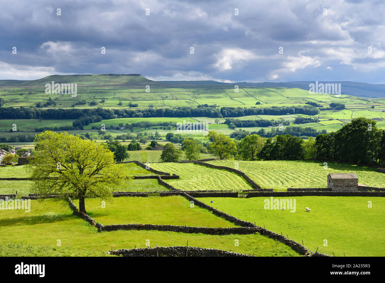 Village de Askrigg Top croisé en route dans la vallée de rivière Ure Wensleydale sun North Yorkshire Angleterre pommelé Banque D'Images