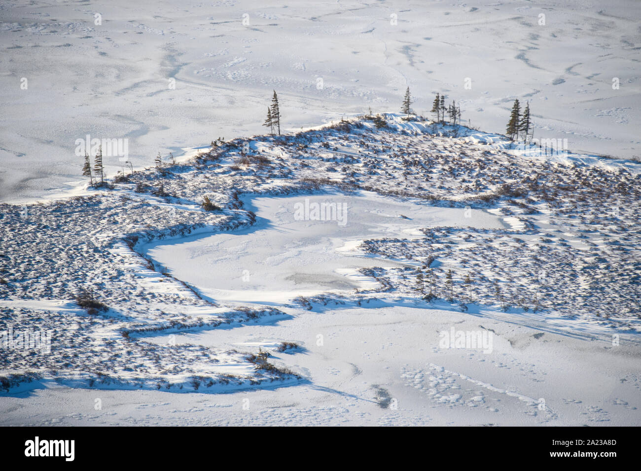 Les basses terres de la baie d'Hudson se fige de l'air. Arbres et étangs boréaux, Churchill, Manitoba, Canada Banque D'Images