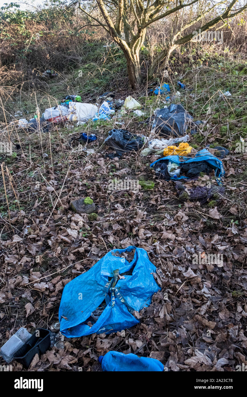 Sacs d'ordures jetées et autres détritus laissés sur le terrain dans les bois, Wilford, Nottingham, England, UK Banque D'Images