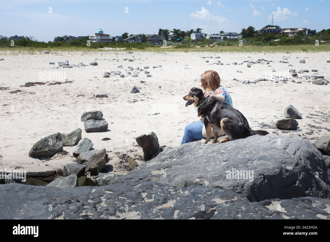 Les jeunes rescue dog jouer avec de nouveaux membres de la famille. Banque D'Images