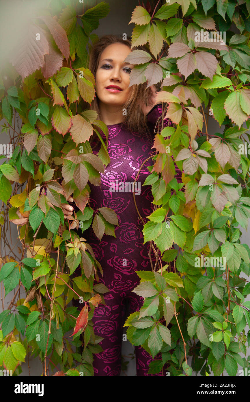 Jolie fille en costume de tigre de poser dans les feuilles de vigne sauvage  Photo Stock - Alamy