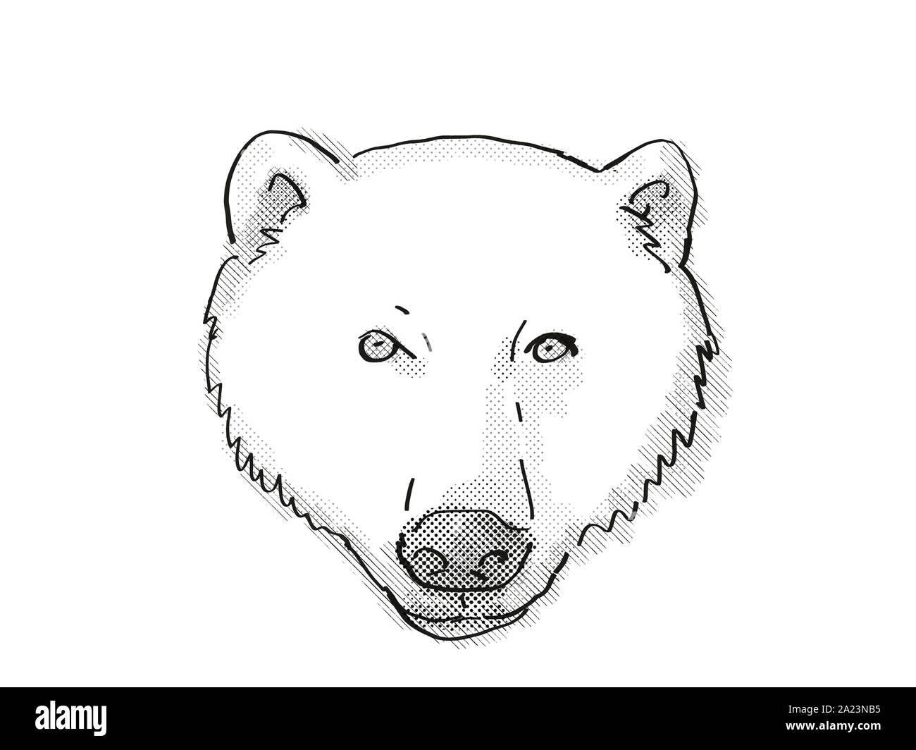 Retro cartoon style dessin de tête d'un ours polaire sur fond blanc