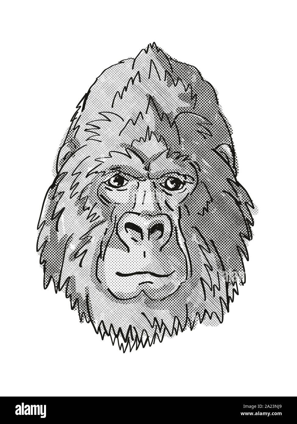 Retro cartoon style dimensions tête d'un dos d'argent ou de gorille de montagne, une espèce de singe, vu de l'avant sur un fond blanc fait dans un noir Banque D'Images