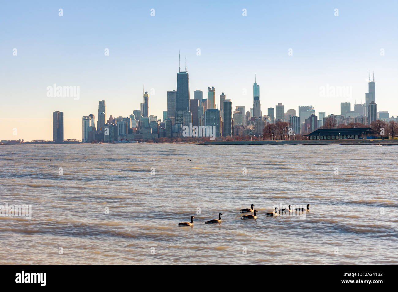Horizon de Chicago vu du quartier Lakeview avec les oies Banque D'Images