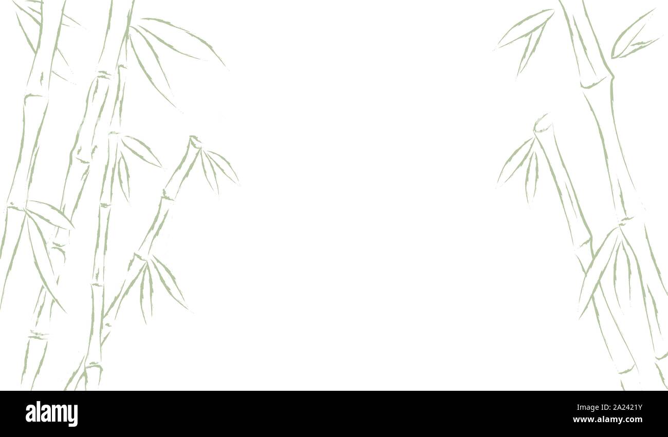 Forêt de bambou ou d'arrière-plan de canne à sucre. Dessin d'illustration vectorielle. Illustration de Vecteur Forêt de bambou ou d'arrière-plan de canne à sucre. Dessin d'illustration vectorielle. Illustration de Vecteur