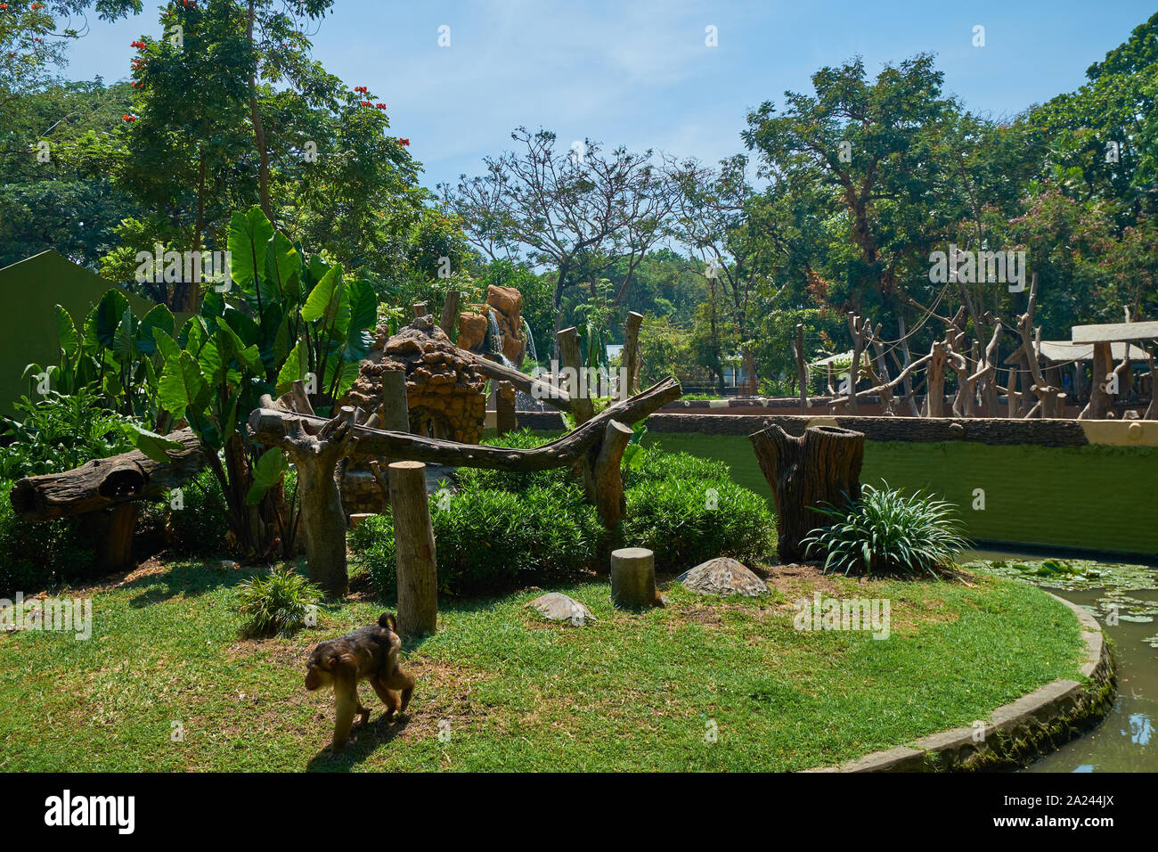 Un coup d'oeil à certains de l'animal au zoo de la ville de Surabaya, Indonésie. Banque D'Images