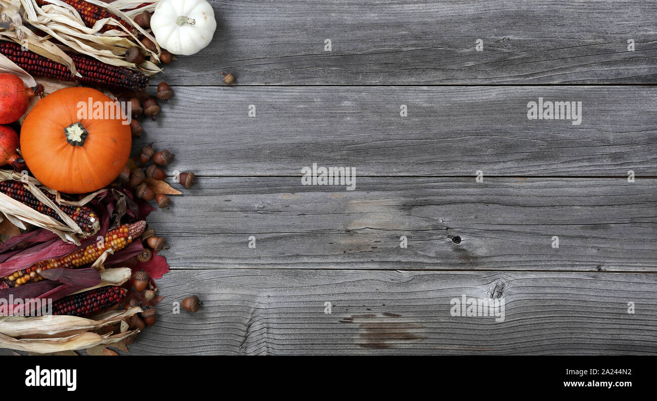 Citrouille, courge, maïs, feuilles et glands sur bordure gauche de Weathered Wood pour la saison des vacances d'automne Banque D'Images