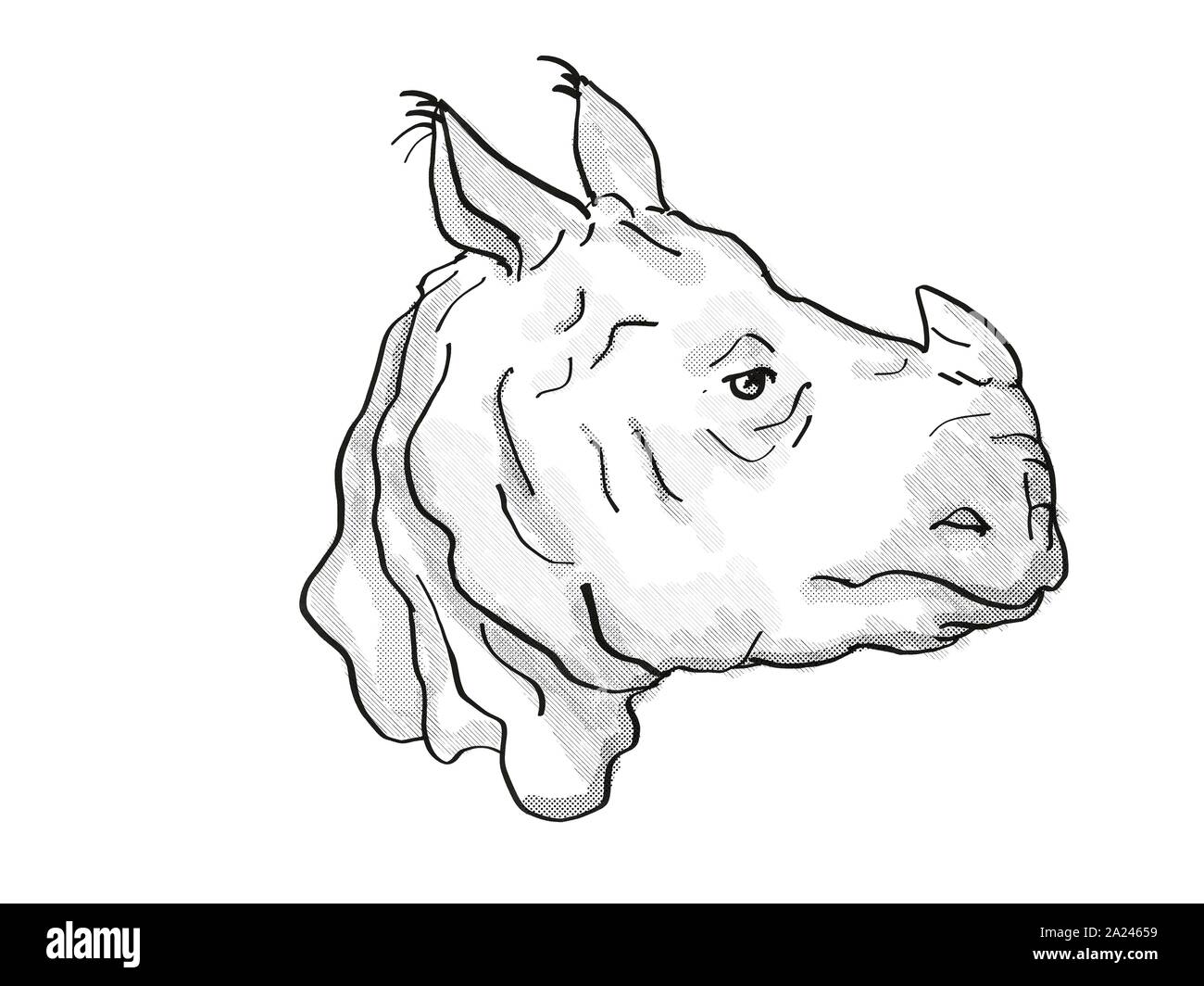 Retro cartoon style dessin de tête d'un rhinocéros indien, une espèce d'espèces isolées sur fond blanc en noir et blanc. Banque D'Images