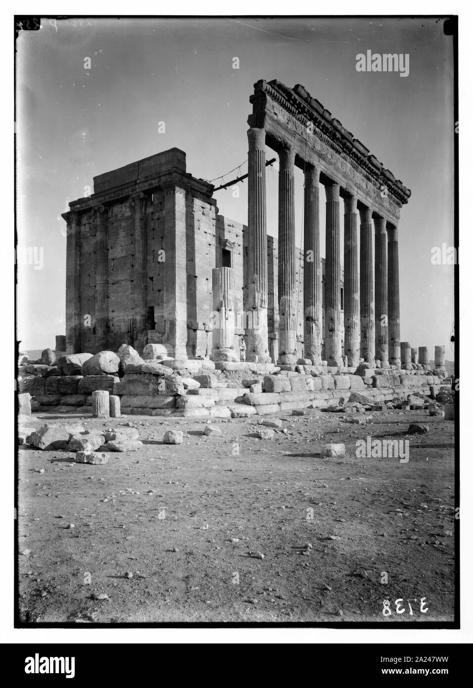 Palmyre. Temple de Baal. Piliers du péristyle Banque D'Images