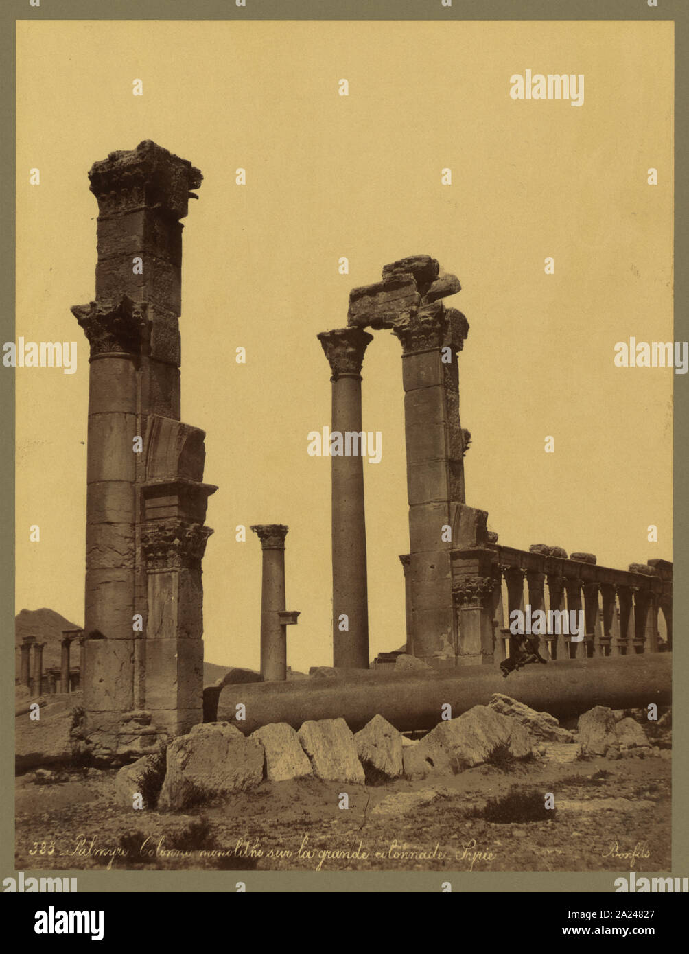 Palmyre. Colonne monolithe sur la grande colonnade. Syrie / Bonfils. Banque D'Images