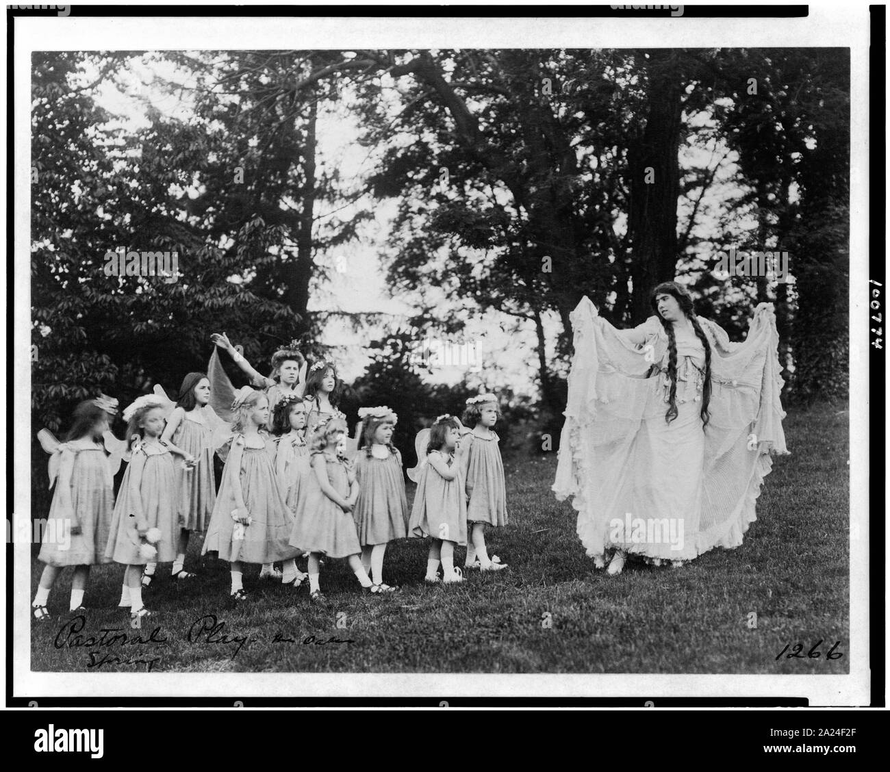 Jouer la pastorale, chênes, printemps Banque D'Images