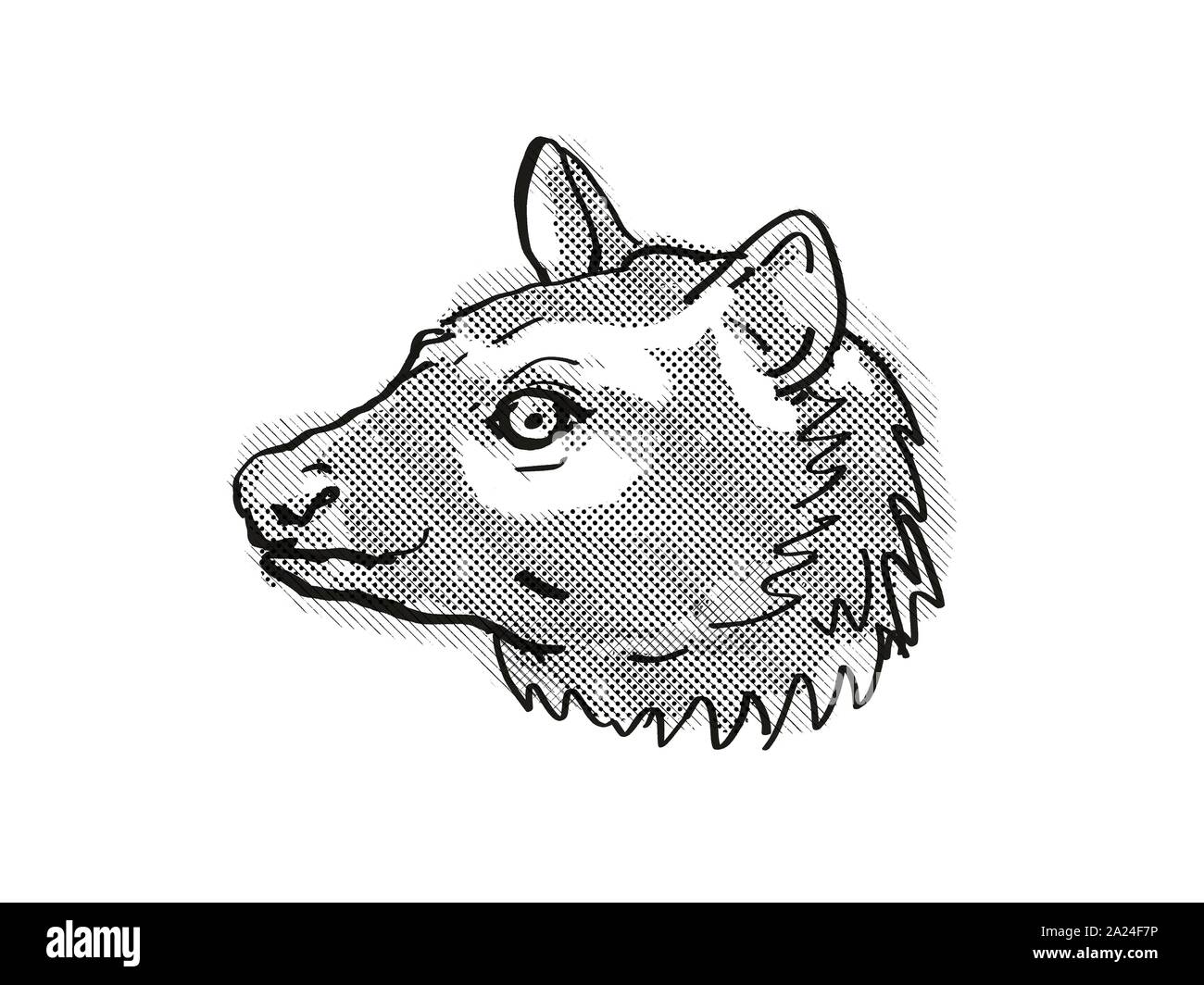 Retro cartoon style dessin de tête d'une civette asiatique ou Palm Palm commune , une civette espèces en péril espèces isolées sur fond blanc fait dans Banque D'Images