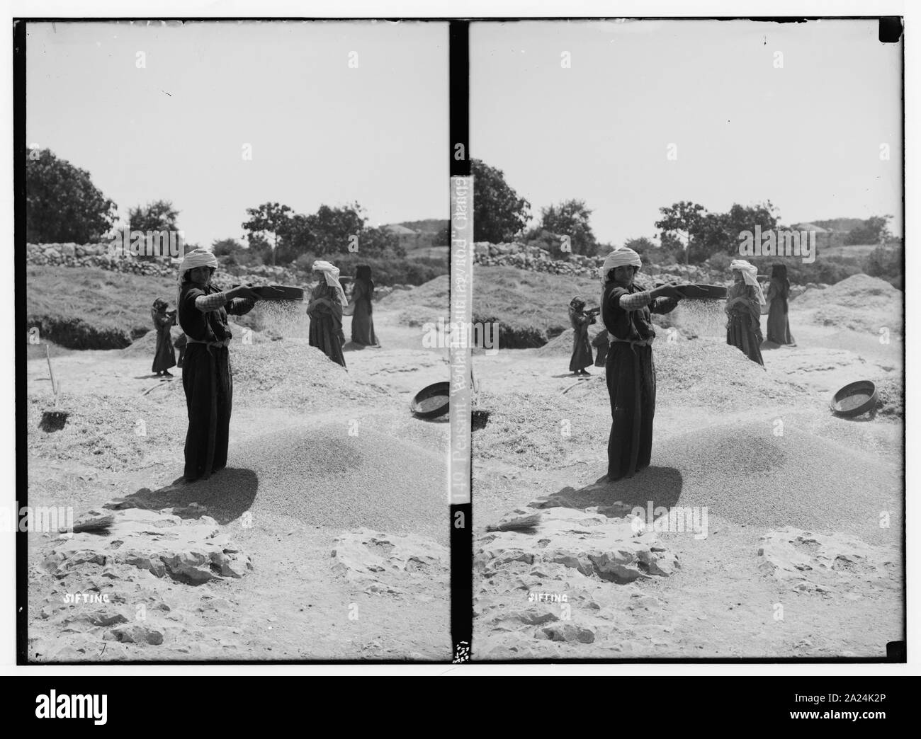 Femme de criblage des grains Banque D'Images